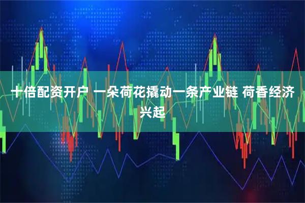 十倍配资开户 一朵荷花撬动一条产业链 荷香经济兴起